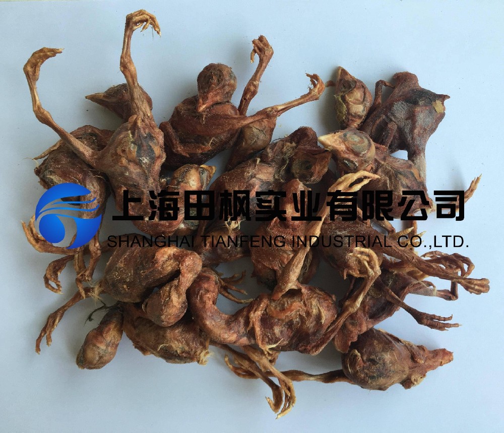 寵物零食小鵪鶉凍干