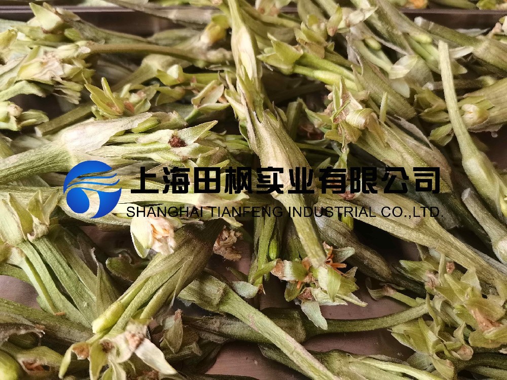 水芙蓉凍干：藥食同源凍干機(jī)應(yīng)用水芙蓉凍干加工